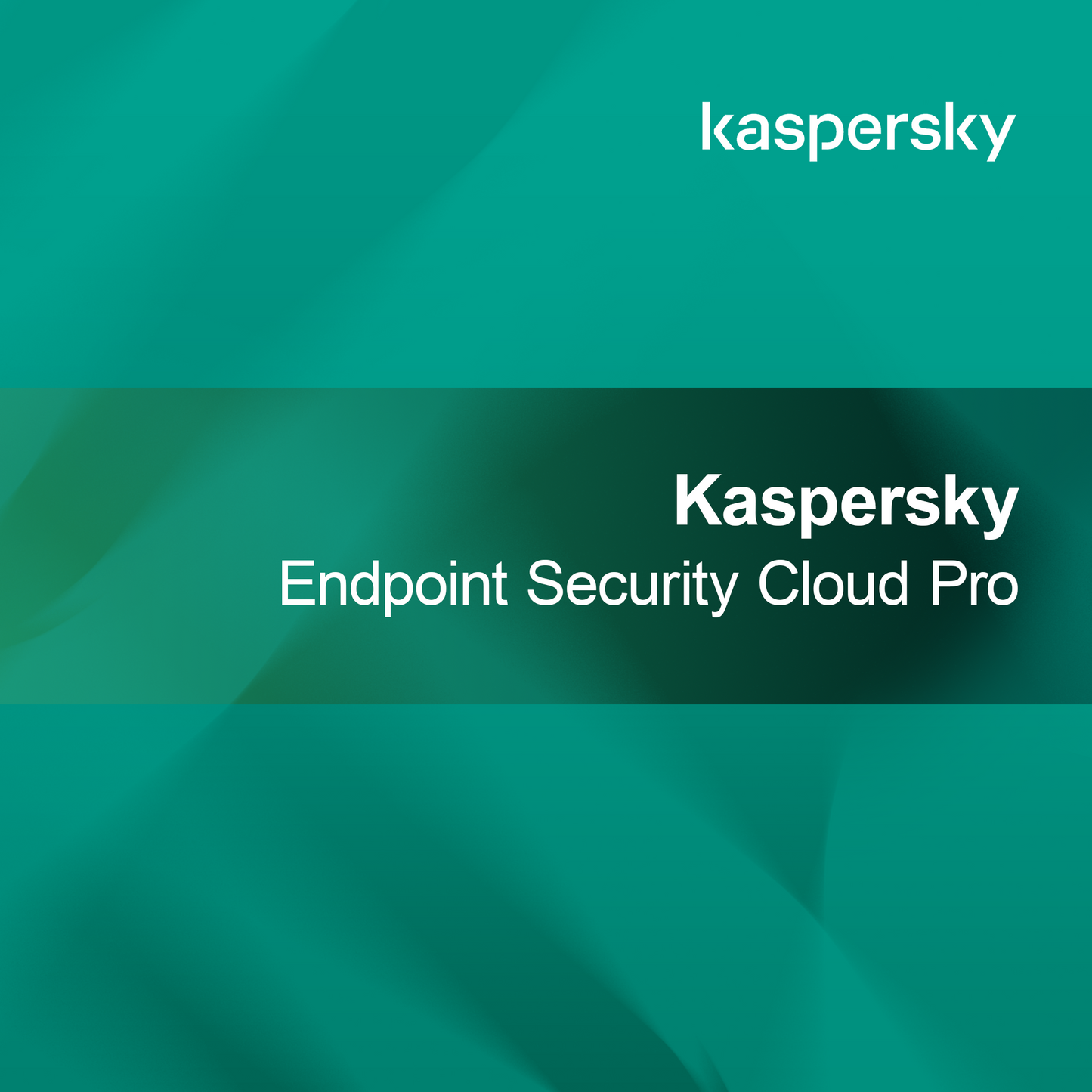 Kaspersky Sécurité Endpoint Cloud Pro